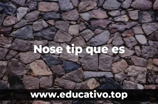 Nose tip que es