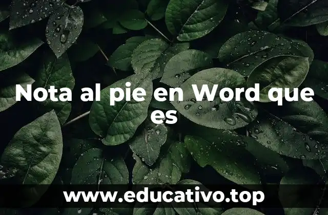 Nota al pie en Word que es