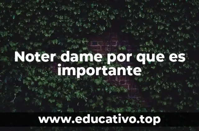 Noter dame por que es importante