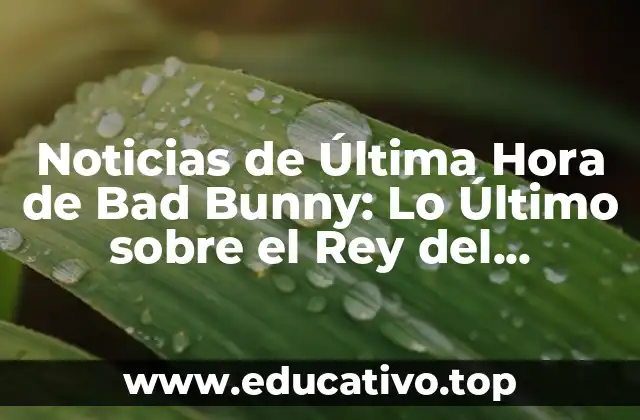 Noticias de Última Hora de Bad Bunny: Lo Último sobre el Rey del Reggaeton