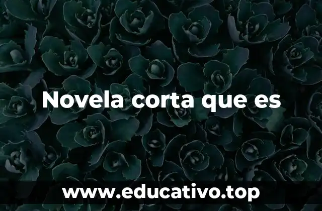Novela corta que es