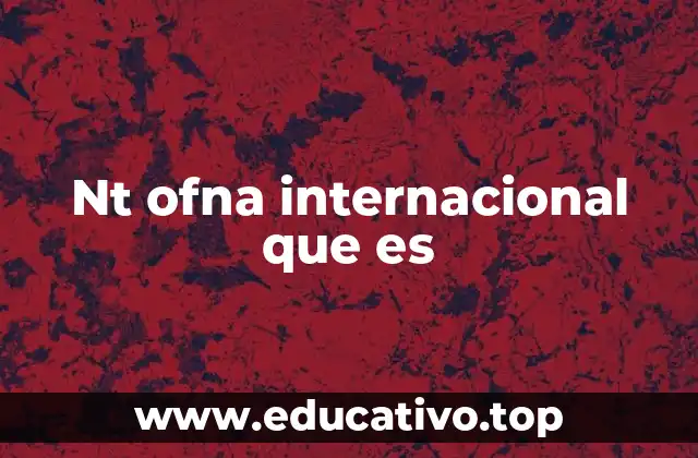 El contexto de los acrónimos en el ámbito internacional