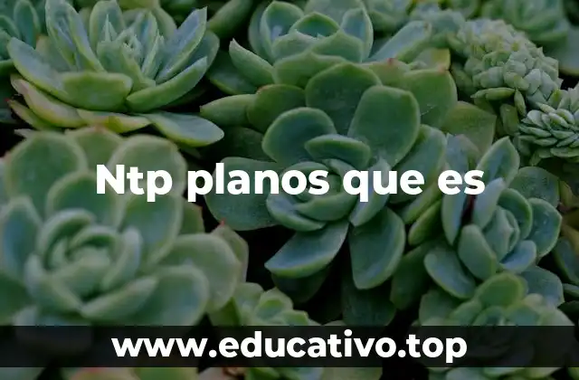 Ntp planos que es
