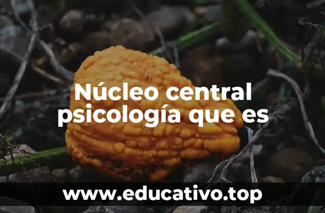 La base conceptual que fundamenta la psicología moderna