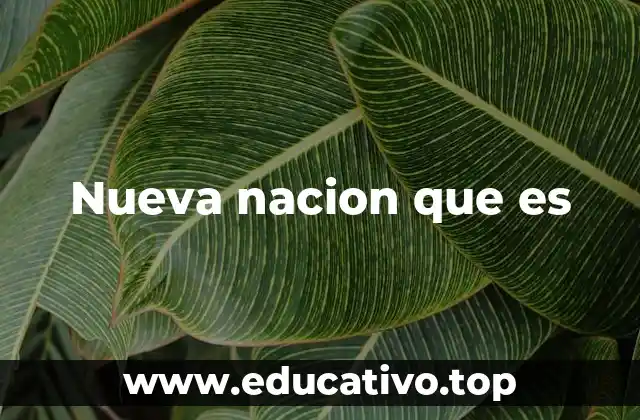 La formación de un estado emergente