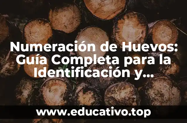 Numeración de Huevos: Guía Completa para la Identificación y Seguimiento
