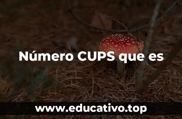 Número CUPS que es