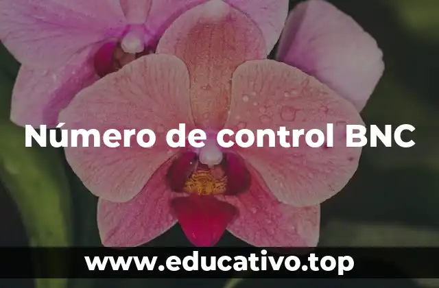 Cómo funciona el número de control BNC sin mencionar directamente la palabra clave