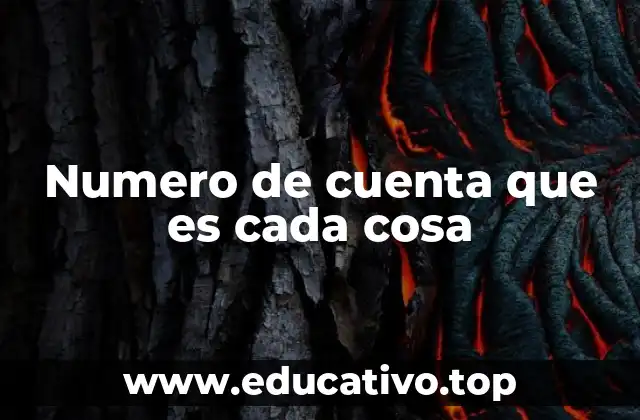 Numero de cuenta que es cada cosa