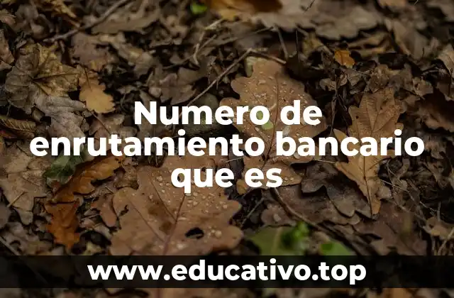Numero de enrutamiento bancario que es