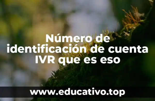 Número de identificación de cuenta IVR que es eso