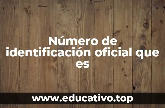 Número de identificación oficial que es