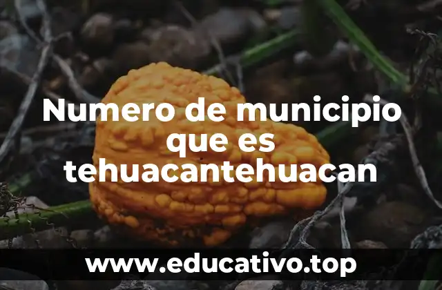 Numero de municipio que es tehuacantehuacan