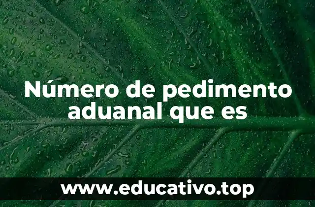 Número de pedimento aduanal que es