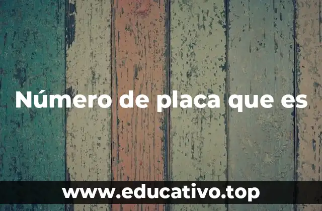 Número de placa que es