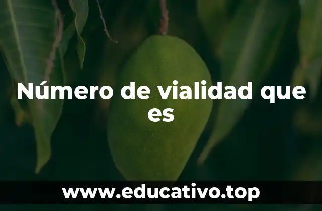 Número de vialidad que es