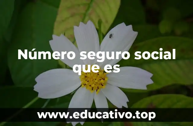 Número seguro social que es