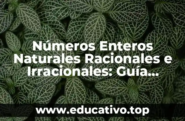Números Enteros Naturales Racionales e Irracionales: Guía Completa