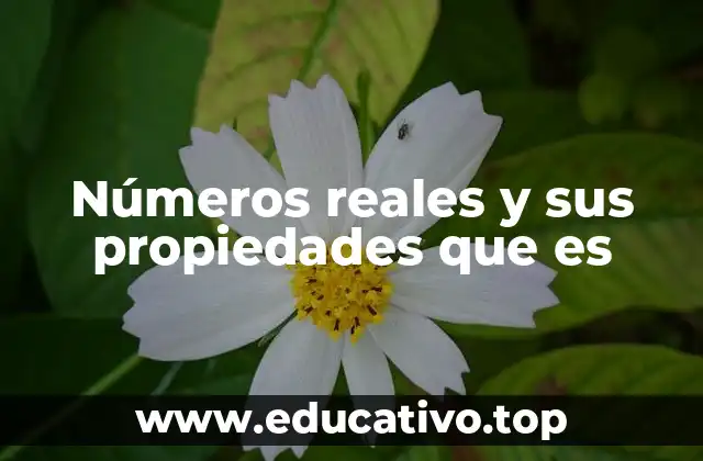 Números reales y sus propiedades que es
