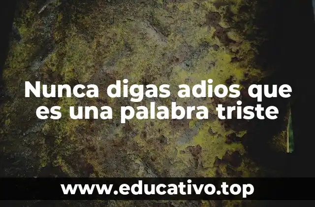 Nunca digas adios que es una palabra triste