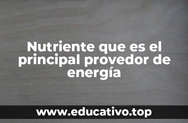 Nutriente que es el principal provedor de energía