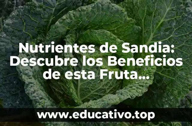 Nutrientes de Sandia: Descubre los Beneficios de esta Fruta Refrescante