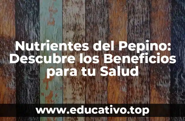 Nutrientes del Pepino: Descubre los Beneficios para tu Salud
