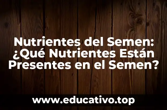 Nutrientes del Semen: ¿Qué Nutrientes Están Presentes en el Semen?