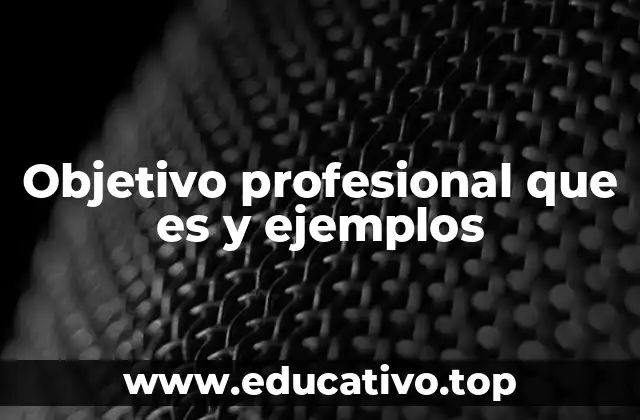 Objetivo profesional que es y ejemplos