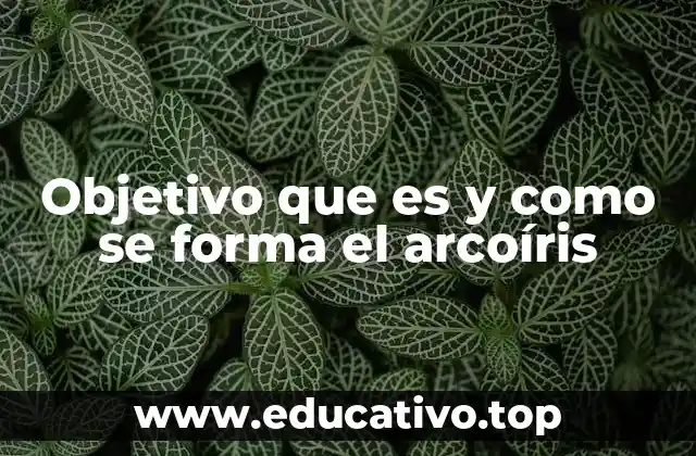 Objetivo que es y como se forma el arcoíris