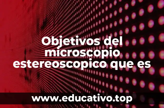 Objetivos del microscopio estereoscopico que es