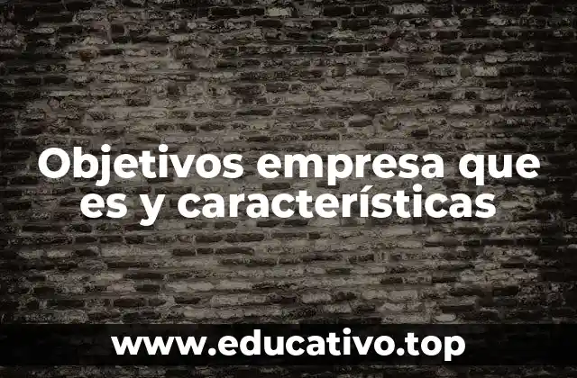 Objetivos empresa que es y características