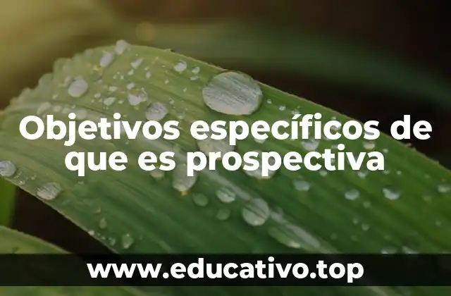 Objetivos específicos de que es prospectiva
