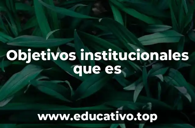 Objetivos institucionales que es