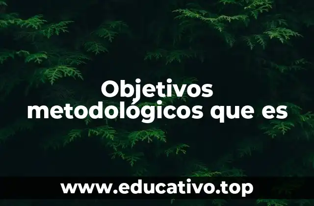 Objetivos metodológicos que es
