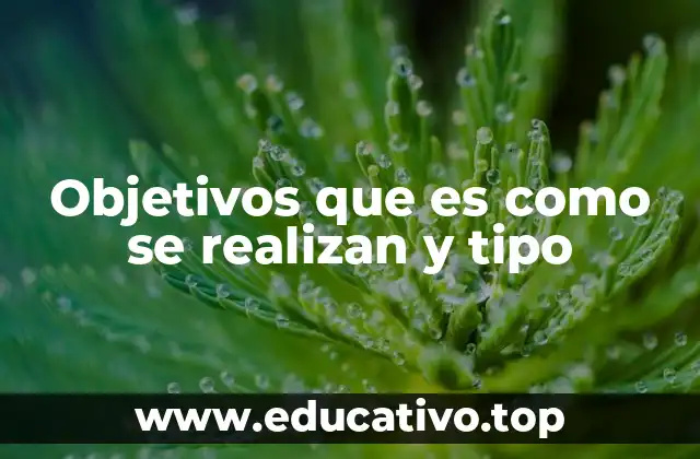 Objetivos que es como se realizan y tipo