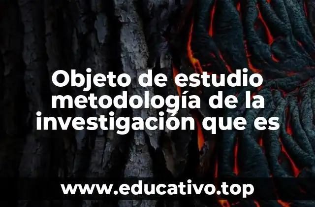 La importancia del enfoque en el objeto de estudio