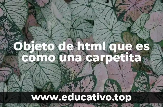 Objeto de html que es como una carpetita