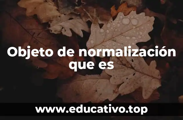 Objeto de normalización que es