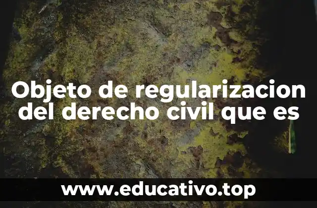 Objeto de regularizacion del derecho civil que es