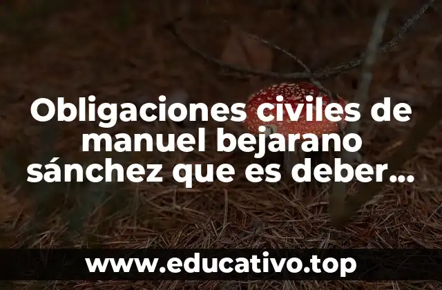Obligaciones civiles de manuel bejarano sánchez que es deber juridico