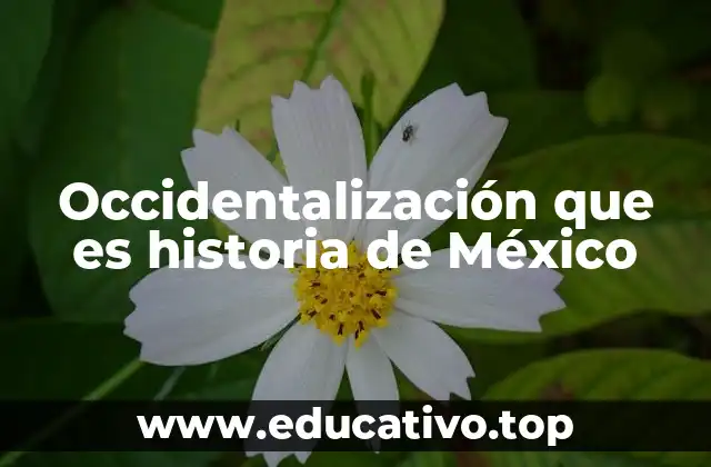 Occidentalización que es historia de México