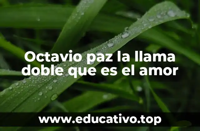 Octavio paz la llama doble que es el amor