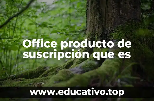 Office producto de suscripción que es