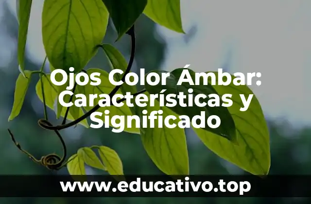 Ojos Color Ámbar: Características y Significado