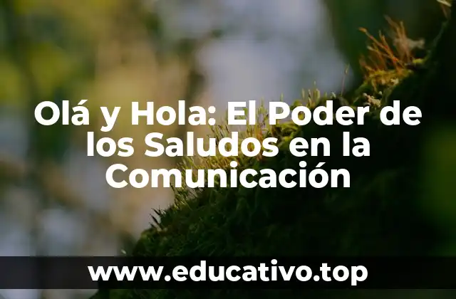 Olá y Hola: El Poder de los Saludos en la Comunicación
