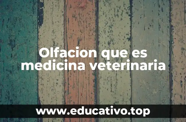 El papel del sistema olfativo en la salud animal