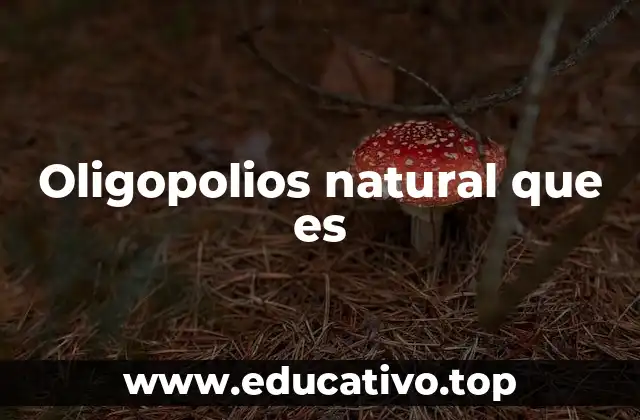 Oligopolios natural que es