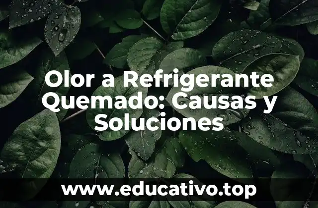 Olor a Refrigerante Quemado: Causas y Soluciones