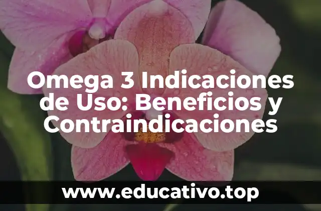 Omega 3 Indicaciones de Uso: Beneficios y Contraindicaciones